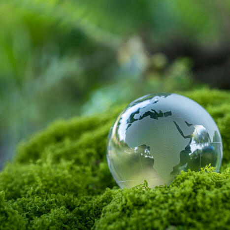 ZAN : État des lieux du modèle selon le baromètre SCET | Veille UrbaLyon : Planification urbaine -  Plan local d'urbanisme | Scoop.it