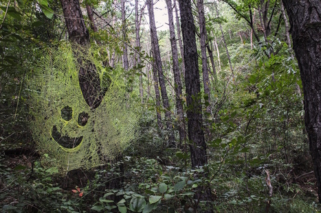 Anthony Michael Simon: Smile | Art Installations, Sculpture, Contemporary Art | Scoop.it