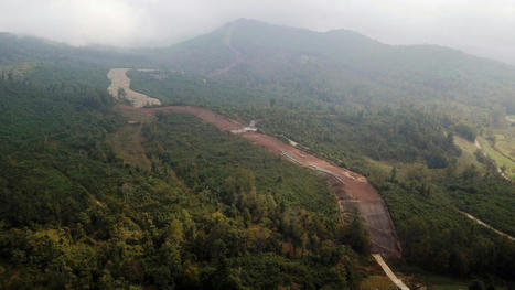 Many CEOs are fine with lower returns on climate investments | The EcoPlum Daily | Scoop.it