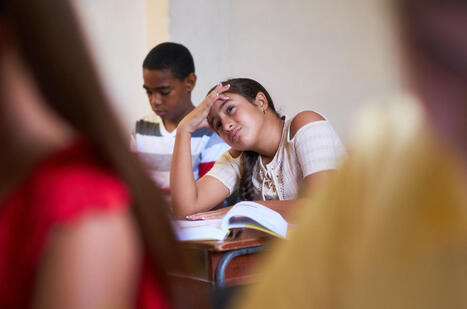 Nelson Flores looks back on decades of bilingual education | Language Education:  Major Papers and Reports | Scoop.it