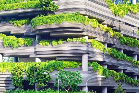 #Infographie : Pourquoi la ville a-t-elle (vraiment) besoin de se végétaliser ? - Maddyness | green et digital ! | Scoop.it