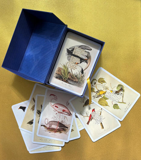 An Almanac of Birds: 100 Divinations for Uncertain Days  | Voices in the Feminine - Digital Delights | Scoop.it