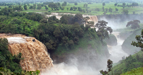 Pay More Attention to Forests to Avert Global Water Crisis, Researchers Urge | BIODIVERSITY IS LIFE  – | Scoop.it