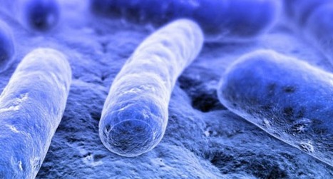 Male, 24, with E. Coli, C. Difficile, H. Pylori WLTM similar | No Such Thing As The News | Scoop.it