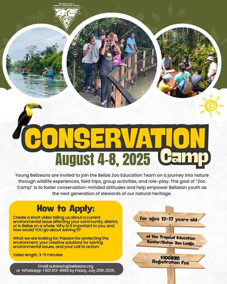 Belize Zoo Conservation Camp 2025 | Cayo Scoop!  The Ecology of Cayo Culture | Scoop.it