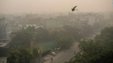 Delhi pollution levels soar after residents defy Diwali fireworks ban - CNN.com | Agents of Behemoth | Scoop.it
