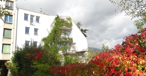 [vidéo] L'habitat participatif, c'est d'abord un environnement social | Build Green, pour un habitat écologique | Scoop.it