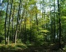 Itin&eacute;raires &Eacute;questres: Creuse, Jura, Meurthe et Moselle | Cheval et Nature | Scoop.it