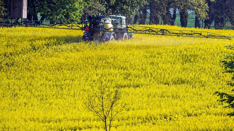 Comment la guerre au Moyen-Orient a fait exploser les prix des engrais et s&egrave;me le chaos dans les champs - France info | Agriculture en Pays de la Loire | Scoop.it