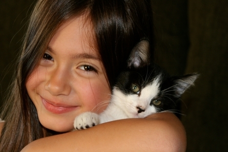 Why Empathy is the Key to a Kinder Society | Empathy Movement Magazine | Scoop.it