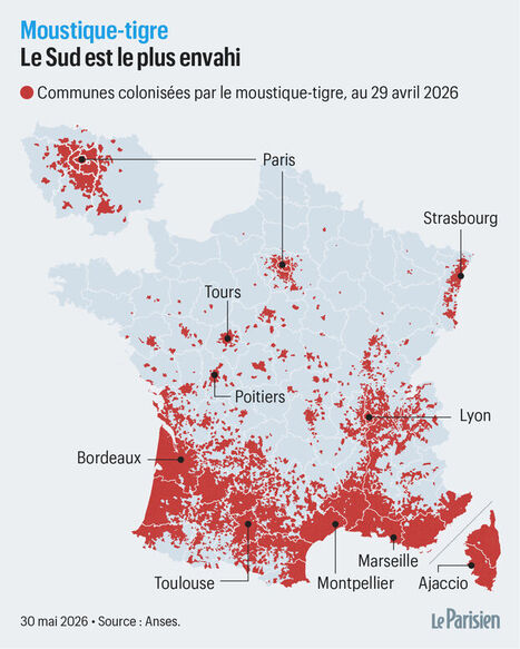 Lutte contre les moustiques&nbsp;: insectes st&eacute;riles, drones, IA&hellip; Ce que valent les solutions innovantes - Le Parisien | EntomoScience | Scoop.it