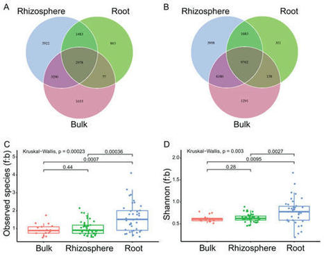 The rhizosphere and root selections intensify fungi-bacteria interaction in abiotic stress-resistant plants | Plant-Microbe Symbiosis | Scoop.it