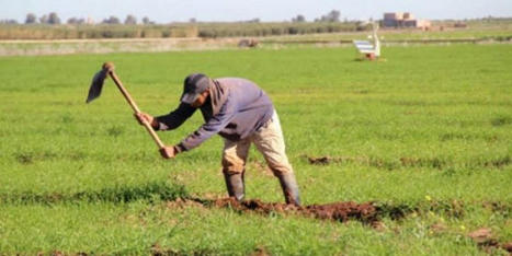 MAROC : l'impact des petites entreprises agricoles sur le monde rural | CIHEAM Press Review | Scoop.it
