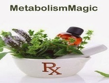MetabolismMagic.com Becomes CrowdFunde Partner #2 - Only Two Left! | Curation Revolution | Scoop.it