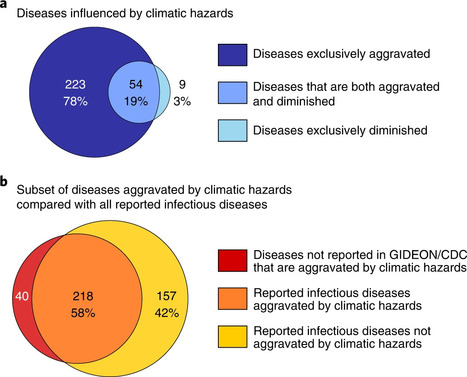 Maladies infectieuses : le réchauffement climatique augmente leur propagation de 50% | COVID-19 : Le Jour d'après et la biodiversité | Scoop.it