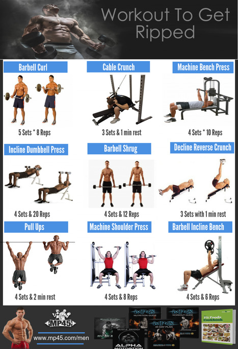 Best Workout To Get Ripped In 45 Day Workout Program Scoop It