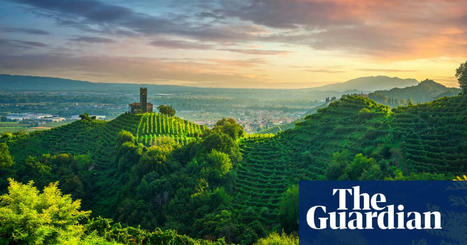 P​rosecco protesters rise up against ‘ruthless expansion’ of Italian winemakers | Italy | The Guardian | Territoire & ruralité | Scoop.it