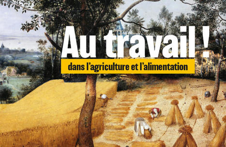 AGRICULTURE et ALIMENTATION : quand les conditions de TRAVAIL font tache…  | CIHEAM Press Review | Scoop.it