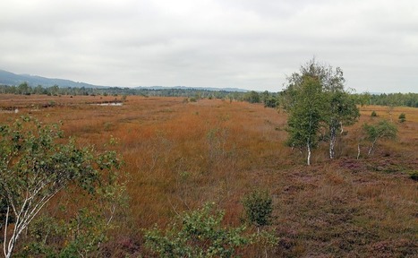 ORE : un nouveau sigle dans le paysage juridique français | saf agr'iDées | Biodiversité | Scoop.it