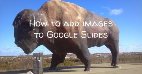 How to Add Images to Google Slides via @rmbyrne | iGeneration - 21st Century Education (Pedagogy & Digital Innovation) | Scoop.it