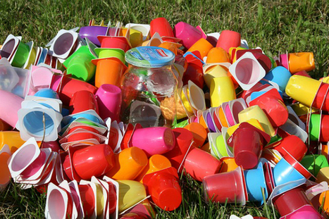 Loi Economie circulaire : décryptage des mesures sur la réduction de la consommation de plastique | Environnement et technique | Scoop.it