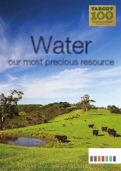 Target 100 : Water, Page 1 | Stage 4 Water in the World | Scoop.it
