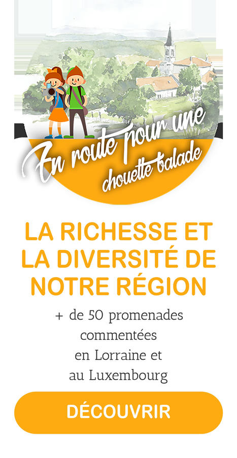 Chouette Balade : balades à vélo en Lorraine | Veille locale des Bibliothèques-Médiathèques de Metz | Scoop.it