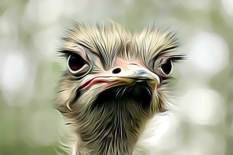 Return of 'Ostrich' gives Samsung three-spot domination on viral video chart | consumer psychology | Scoop.it