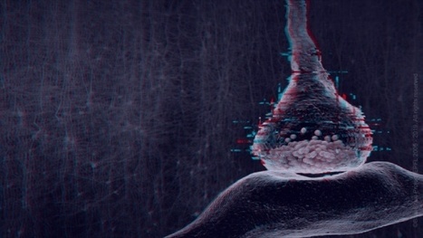 El cerebro encuentra el orden dentro del caos | Educación, TIC y ecología | Scoop.it