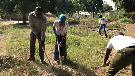 L’agroécologie, un secteur en devenir en Afrique - Afrique économie [Podcast] | Agroecologie et Systèmes Alimentaires Durables | Scoop.it