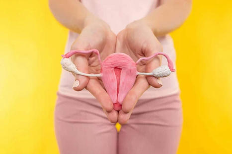 9 rủi ro sức khỏe nữ giới phải đối mặt khi cắt bỏ buồng trứng | Mai95 | Scoop.it