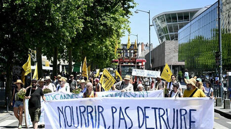 La loi Duplomb, très controversée, de nouveau examinée par les parlementaires lundi - Ouest France | Agriculture en Pays de la Loire | Scoop.it