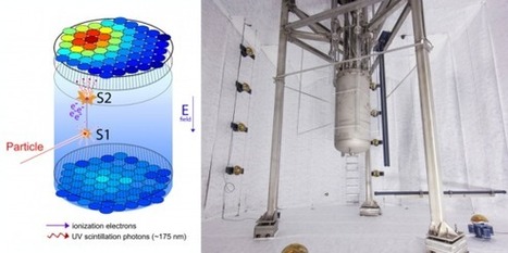 Nueva calibración confirma los resultados de LUX sobre WIMP de baja masa | Ciencia-Física | Scoop.it