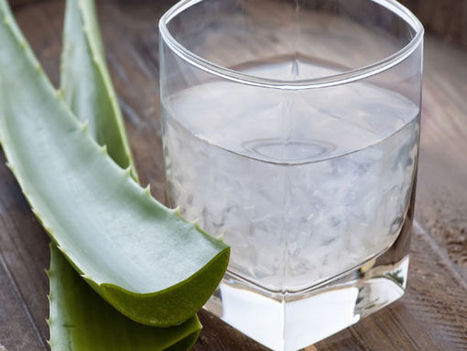 Using Aloe Vera for Hair Repair | CelebrityFashion | Scoop.it