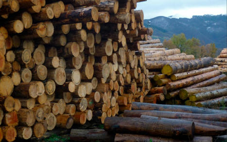 Occitanie. Voici pourquoi le bois local est de plus en plus utilis&eacute; dans les constructions | Mat&eacute;riaux recycl&eacute;s, g&eacute;o et bio-sourc&eacute;s en r&eacute;gions m&eacute;diterran&eacute;enne et alpine | Scoop.it