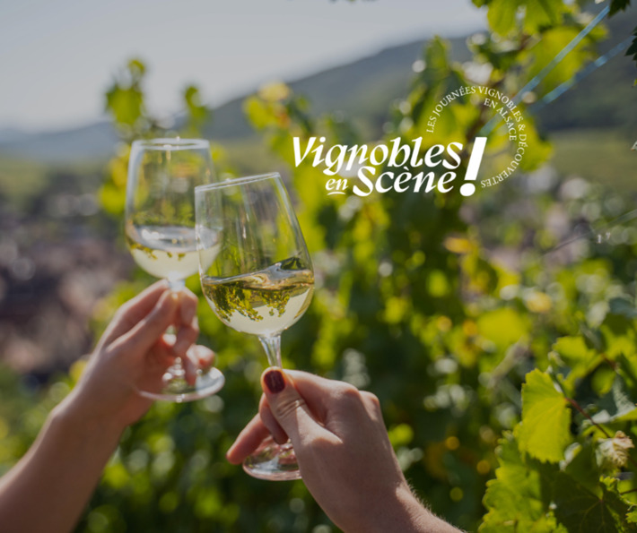 Id&eacute;e sortie. Et si on d&eacute;couvrait le vignoble autrement ?&nbsp; | Th&eacute;matique Gastronomie et Oeno | Scoop.it