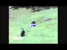America S Funniest Home Videos 2013 Youtube - roblox hollywood terror hotel ride video dailymotion