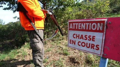 En Lorraine, un projet de charte pour faire cohabiter randonneurs et chasseurs | veille territoriale | Scoop.it