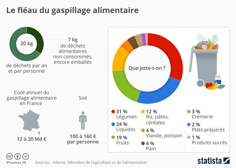 #Infographie : Le fléau du #gaspillage #alimentaire | GREENEYES | Scoop.it