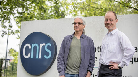 [La D&eacute;p&ecirc;che du Midi] "Mon d&eacute;part des &Eacute;tats-Unis s&rsquo;explique d&rsquo;abord par des raisons politiques et soci&eacute;tales" : le t&eacute;moignage des nouveaux scientifiques &eacute;trangers recrut&eacute;s par le CNRS &agrave; Toulouse | Les laboratoires du CNRS Occitanie Ouest dans la presse | Scoop.it