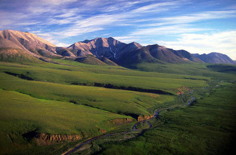 The Greening of the Arctic is Underway | Coastal Restoration | Scoop.it