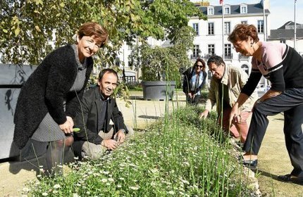 Kercado. « Vannes belle et saine » samedi | L'actualité des quartiers politique de la ville de Bretagne et Pays de la Loire | Scoop.it
