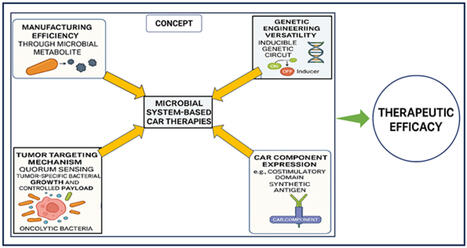 Microbial Systems Enhancing CAR-Based Therapies: A Synthetic Biology Paradigm for Next-Generation Cancer Immunotherapy | RMH | Scoop.it