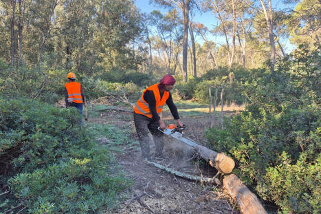 Maroc. Réhabilitation en cours de la forêt de Bouskoura : L’ANEF compte sur la mobilisation des Casablancais...   | Les Colocs du jardin | Scoop.it