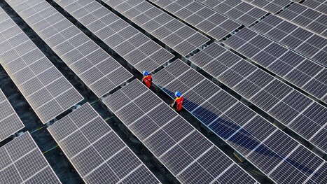 Have greenhouse gas emissions finally peaked? | The EcoPlum Daily | Scoop.it