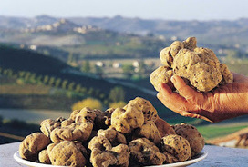 Italië voor liefhebbers.: DE ABRUZZO EN HET ZWARTE GOUD: truffels waar je ze niet verwacht | La Cucina Italiana - De Italiaanse Keuken - The Italian Kitchen | Scoop.it