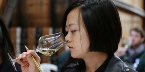 La Chine, cet objet viticole non identifié | ASIES | Scoop.it