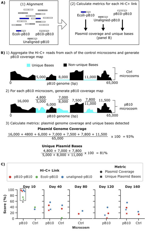 Using Hi-C and target capture to monitor plasmid transfer in the barley rhizosphere | brvt | RMH | Scoop.it