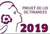 PLF 2019 : Une victoire historique avec la franchise mécénat pour les TPE/PME mais une vigilance accrue pour 2020 ! | Admical | Le portail du mécénat | Co-construction, mécénat et philanthropie | Scoop.it