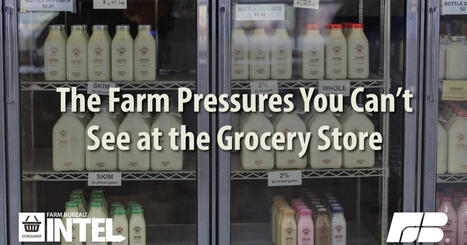 The Farm Pressures You Can't See at the Grocery Store | Farm Bureau Intel Consumer | Operation Deimos | Scoop.it